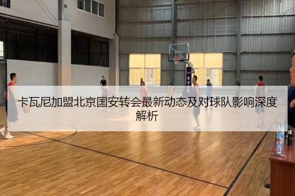 卡瓦尼加盟北京国安转会最新动态及对球队影响深度解析