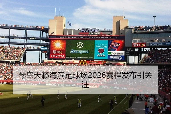 琴岛天籁海滨足球场2026赛程发布引关注